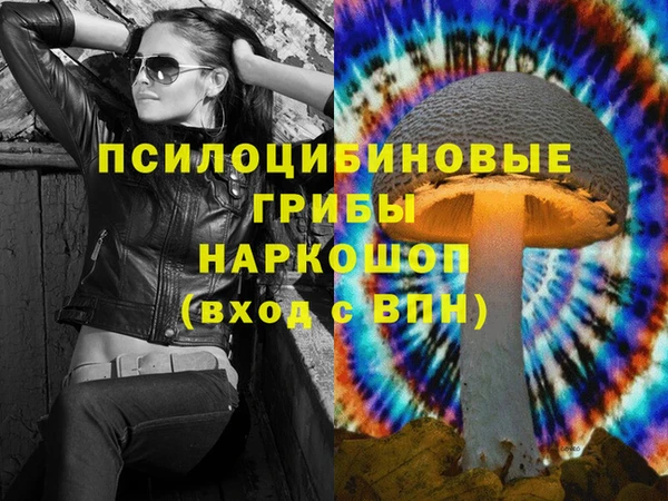 прущие грибы Абдулино
