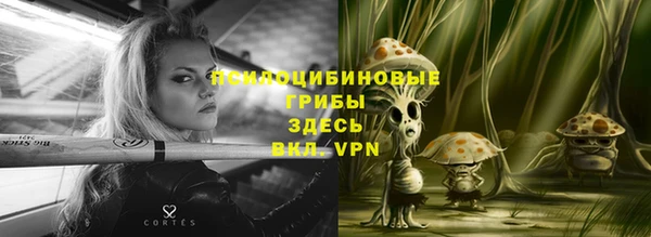 прущие грибы Абдулино