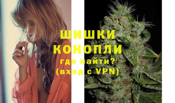прущие грибы Абдулино