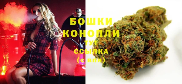 прущие грибы Абдулино