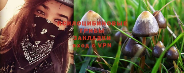 прущие грибы Абдулино
