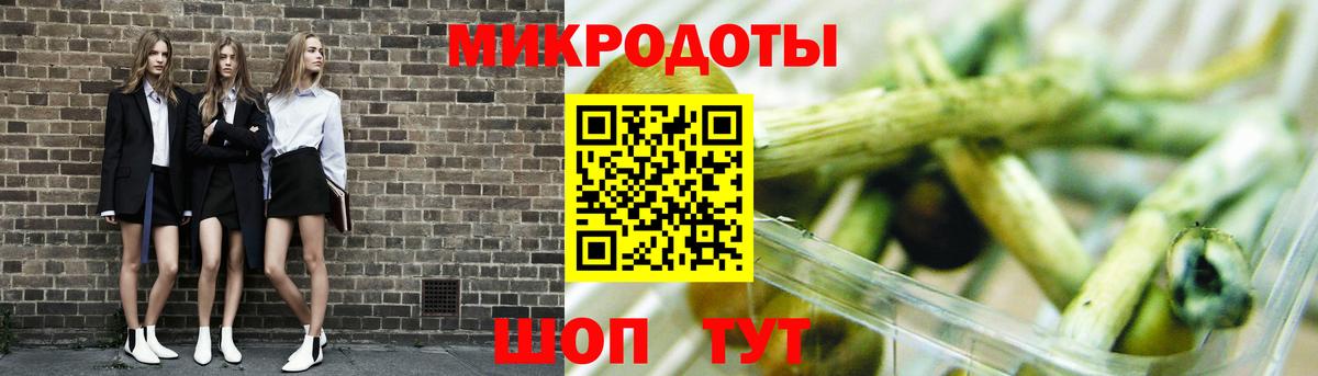 Псилоцибиновые грибы Psilocybine cubensis Карталы