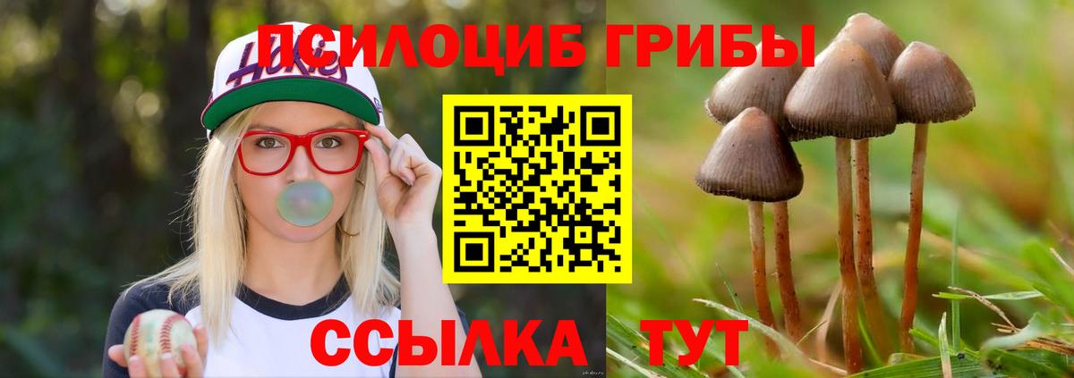 Псилоцибиновые грибы Magic Shrooms  Вход с VPN  Карталы 
